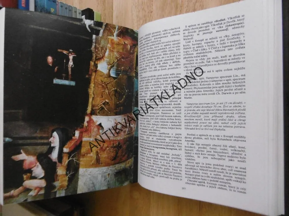 FANTASTICKÉ A MAGICKÉ Z HLEDISKA PSYCHIATRIE, VONDRÁČEK, HOLUB, **an