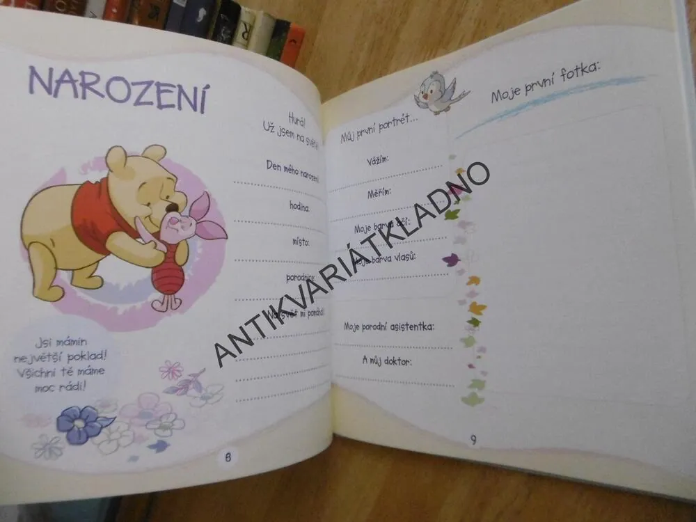 MOJE PRVNÍ KNÍŽKA, MEDVÍDEK PÚ, DISNEY, MOJE PRVNÍ ALBUM, **an