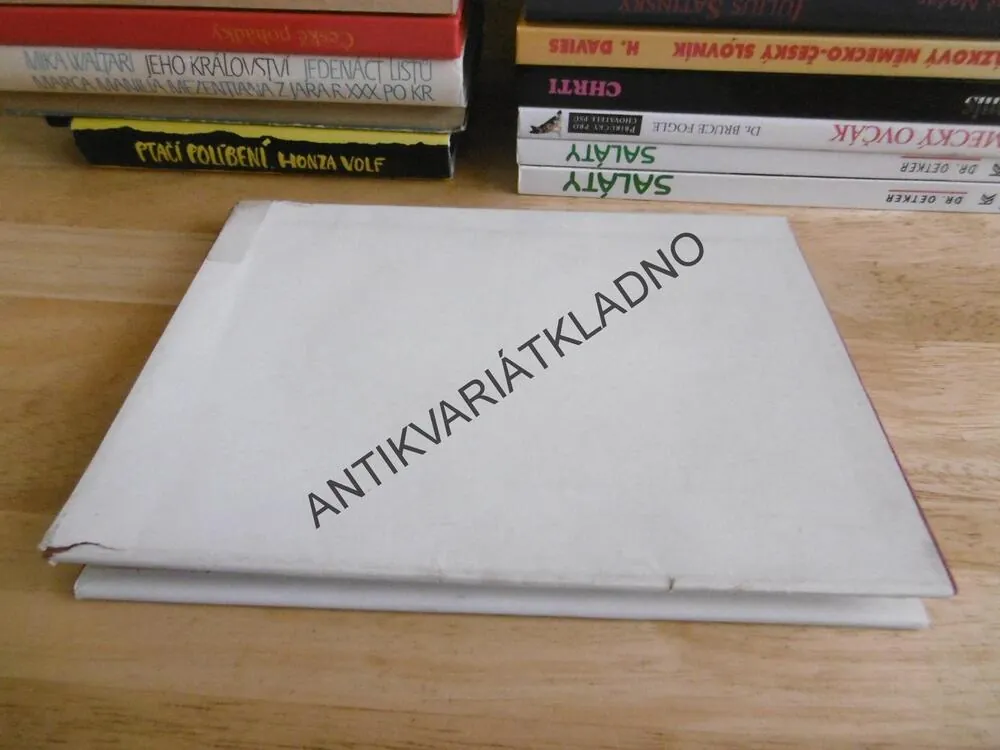 LISTY DO VĚZENÍ, CHARLOTTA G. MASARYKOVÁ, TGM, MASARYK, **an