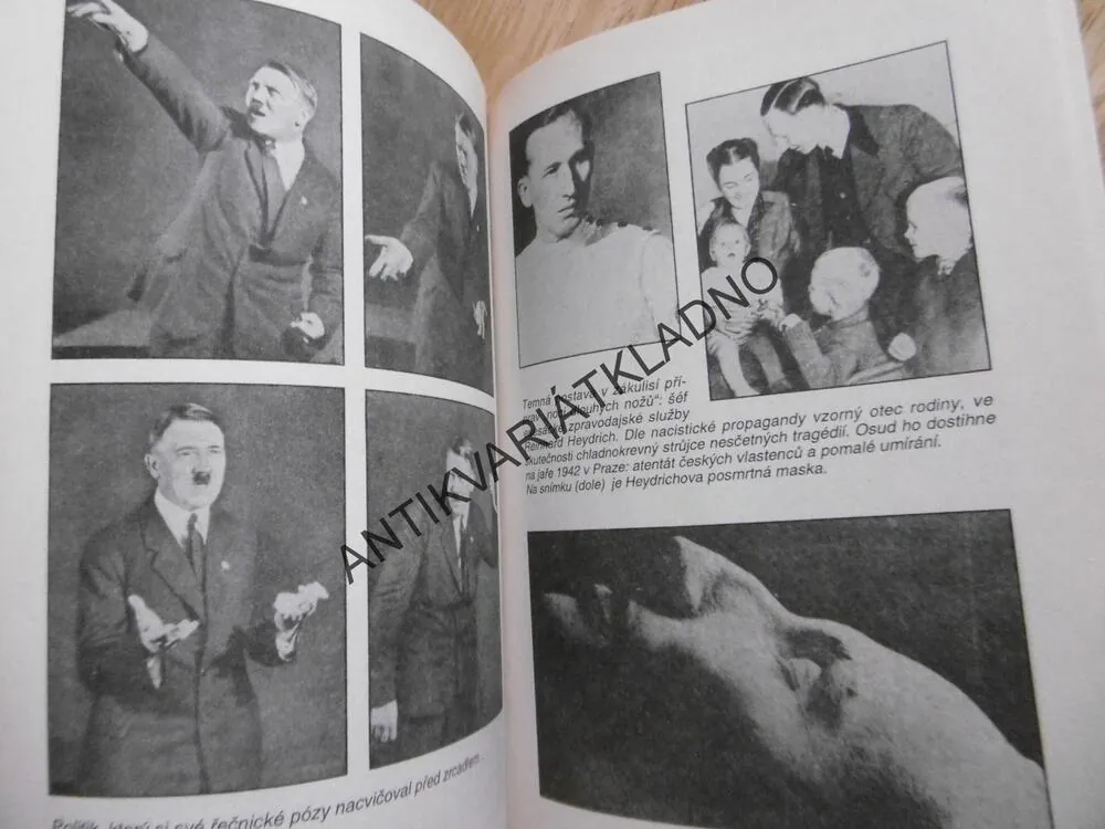 VŽDYŤ ZABÍJET JE TAK SNADNÉ, ROMAN CÍLEK, NĚMECKO 1933-34