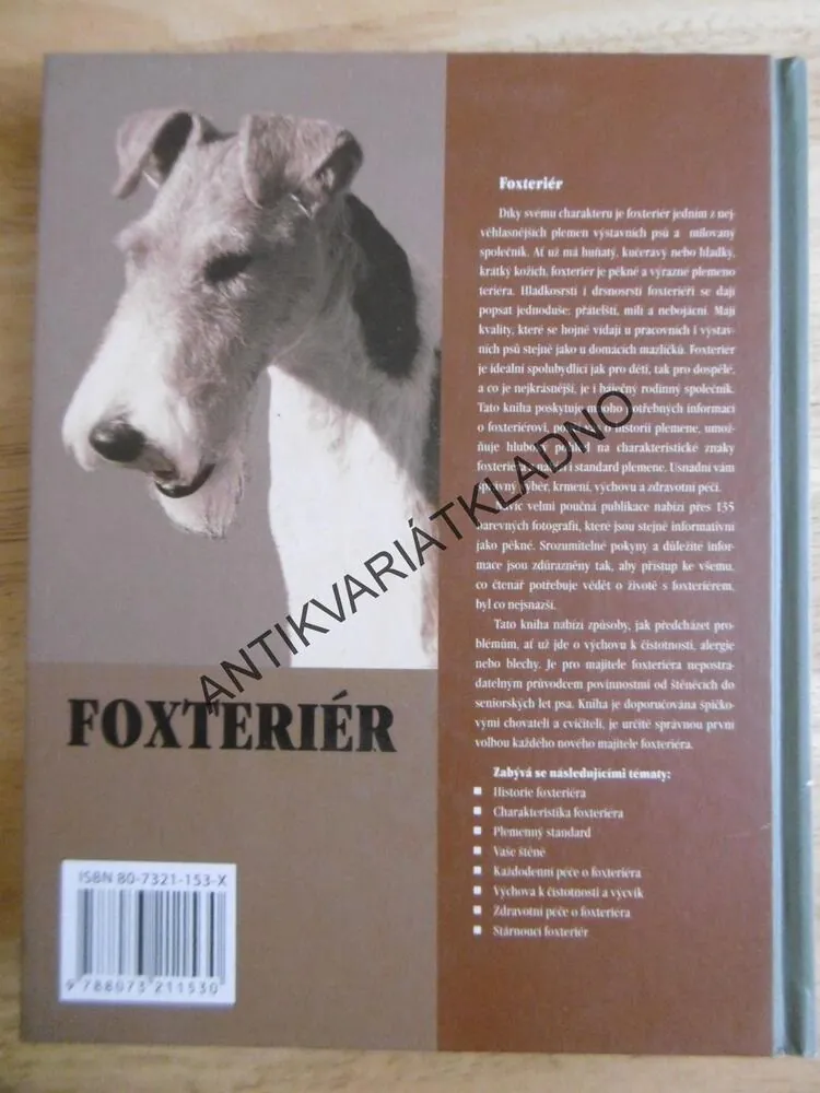 FOXTERIÉR, PES, MURIEL P.LEEOVÁ, **an
