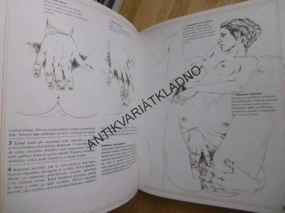 SEXUÁLNÍ ŠTĚSTÍ PRO ŽENY, PRAKTICKÁ PŘÍRUČKA, YAFFÉ, FENWICKOVÁ, **an