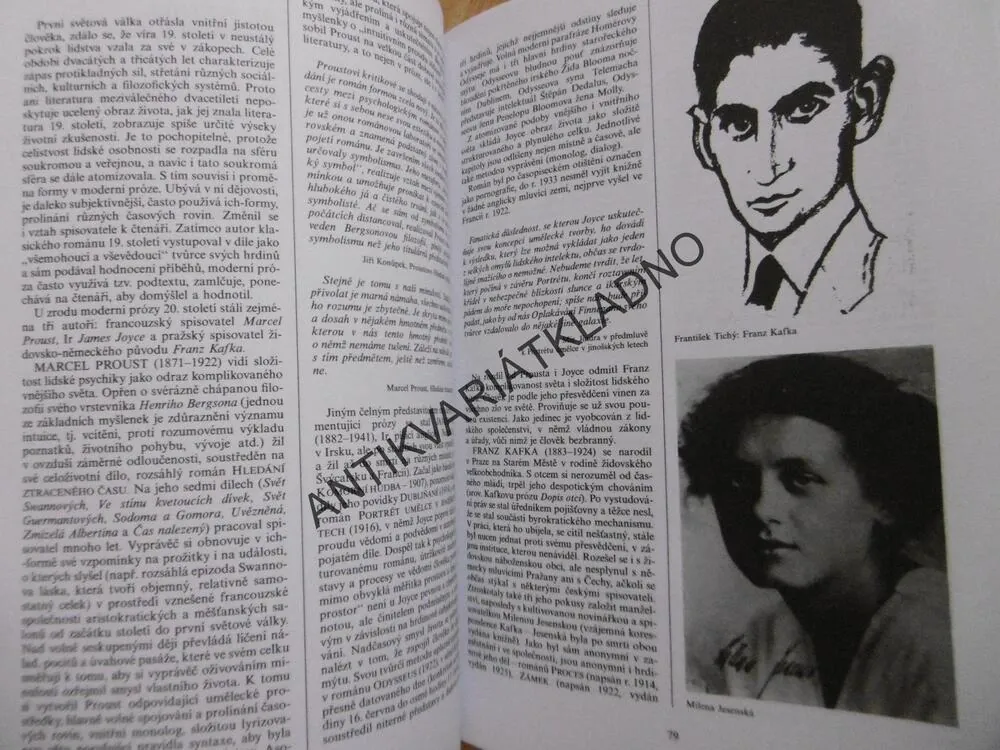 PŘEHLEDNÉ DĚJINY LITERATURY 2., BOHUŠ BALAJKA