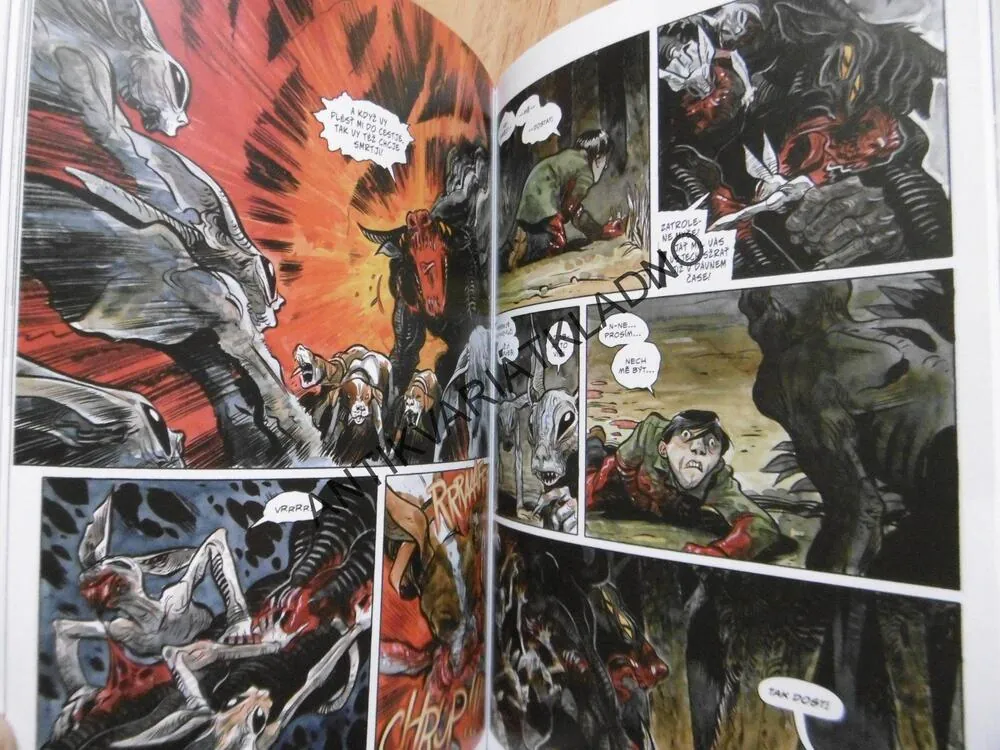 POCHMURNÝ KRAJ, ZNJETVOŘEC, CULLEN BUNN, TYLER CROOK, KOMIKS, **an