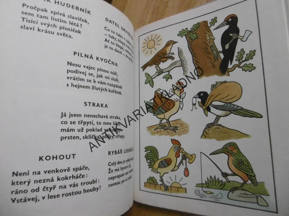 LADŮV VESELÝ PŘÍRODOPIS, UČEBNICE, JOSEF LADA, FRANTIŠEK HRUBÍN, 1974, **an