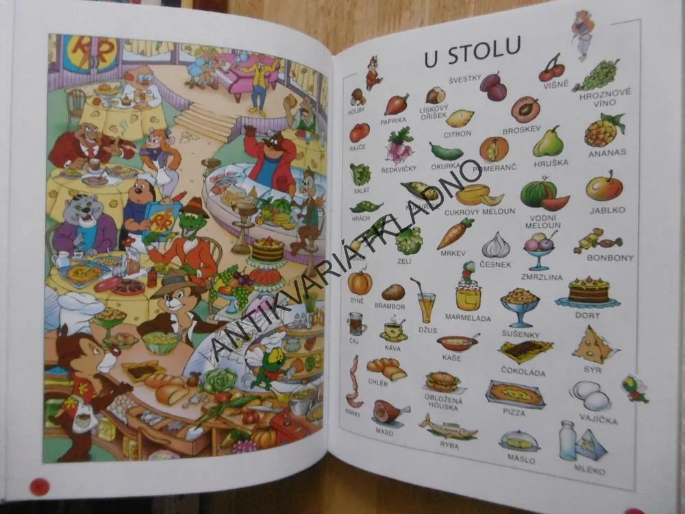MOJE PRVNÍ KNIHA PŘEDŠKOLÁKA A PRVŇÁKA, **an