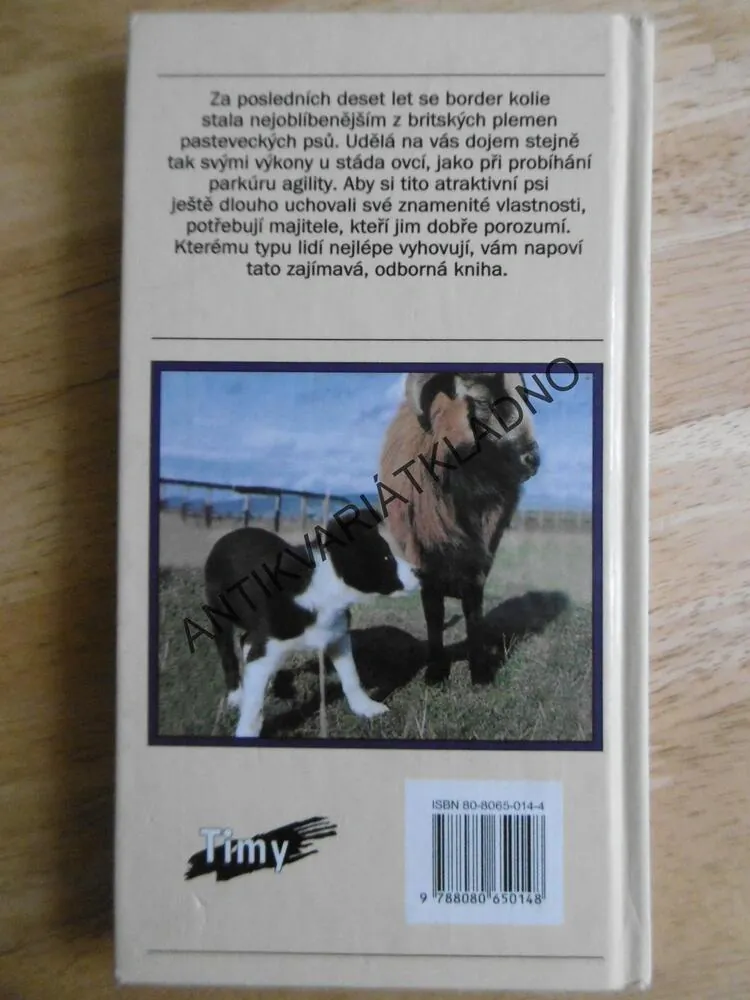 BORDER KOLIE, PES, PÉČE A CHOV, JAK NA TO