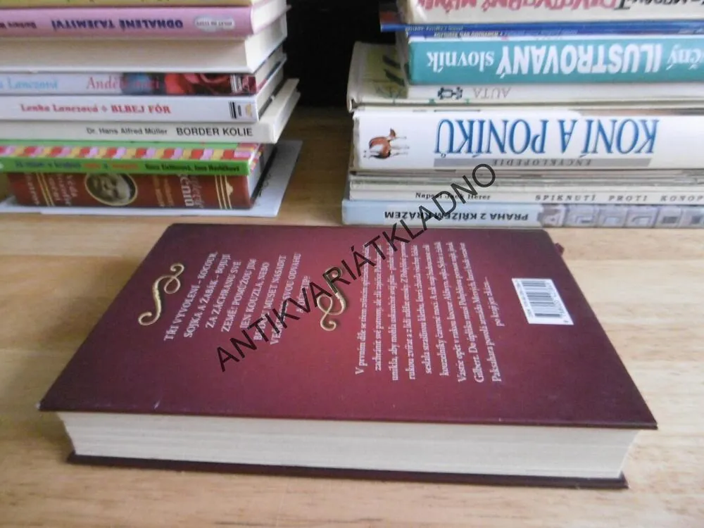 SPŘÍZNĚNCI ČARODĚJŮ, TAJEMSTVÍ KORUNY, A.J. EPSTEIN, JACOBSON, **an