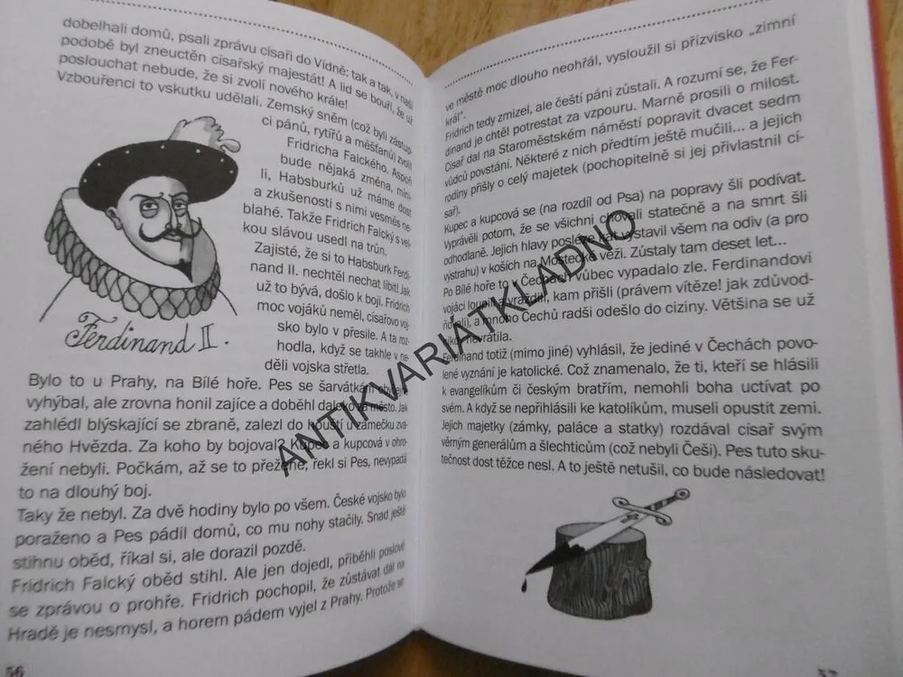 ČESKÉ DĚJINY OČIMA PSA,KNIHA DRUHÁ, PETR URBAN, DRIJVEROVÁ