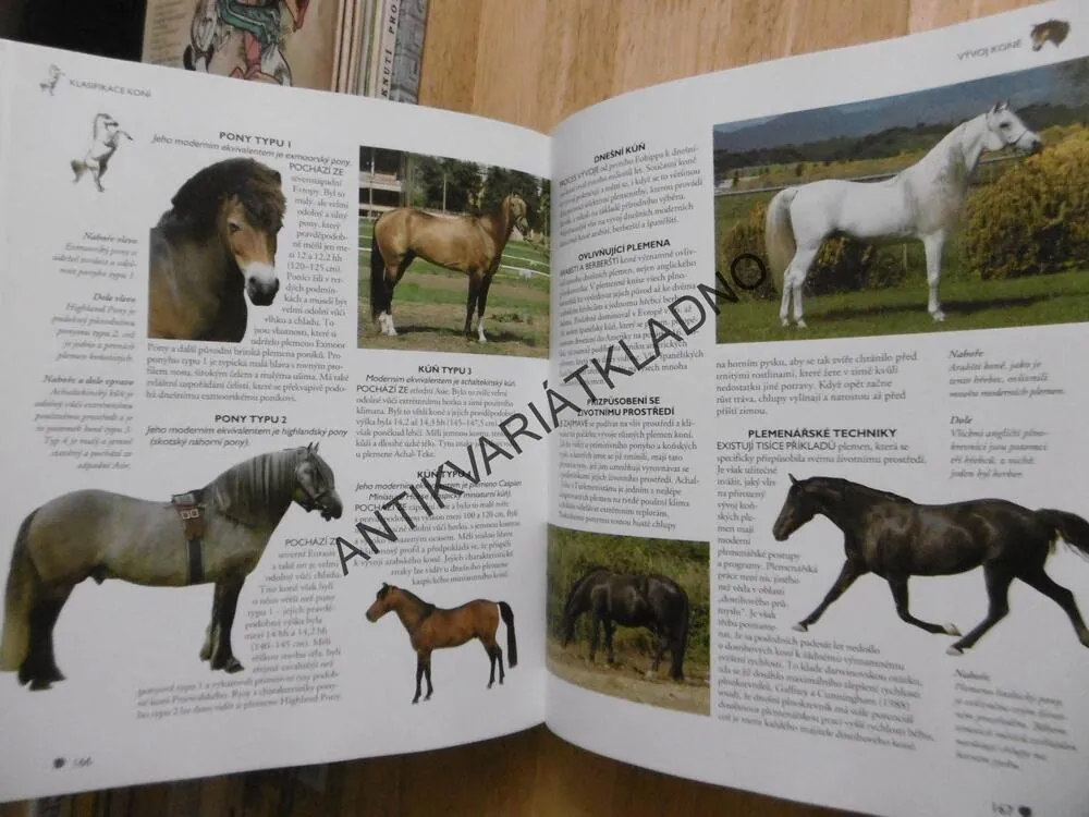 ENCYKLOPEDIE KONÍ A PONÍKŮ, 100 OBRÁZKŮ A TÉMĚŘ 200 PLEMEN