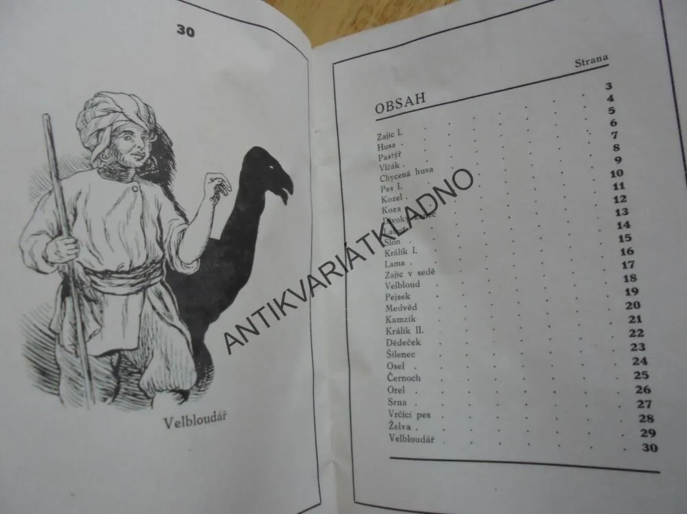 STÍNOHRY PRO MALÉ I VELKÉ,