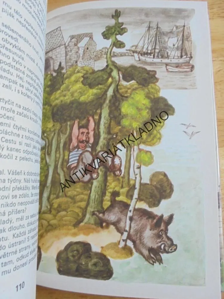MOŘSKÁ PLAVBA S MEDVĚDEM, JAAN RANNAP