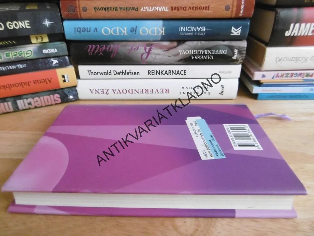 PŘÍBĚHY MODELEK, IVA FRÜHLINGOVÁ, **an
