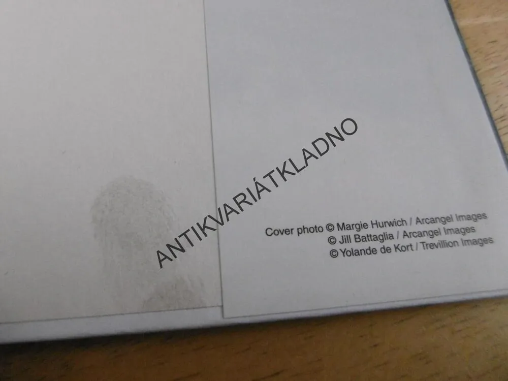 PANSKÝ DŮM A JEHO DCERY, DRUHÝ DÍL RODINNÉ SÁGY, ANNE JACOBSOVÁ, **an