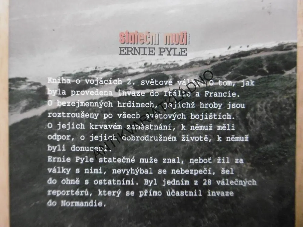 STATEČNÍ MUŽI, ERNTE PYLE