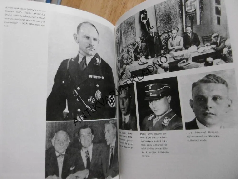 VE SVĚTLE  POCHODNÍ, ROMAN CÍLEK