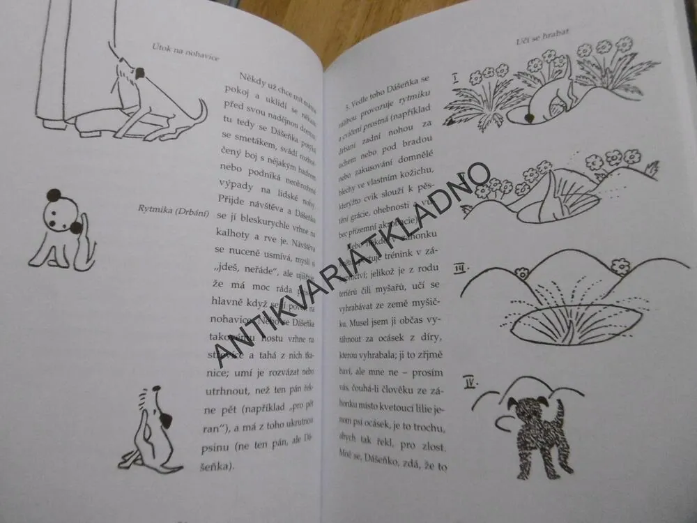 DÁŠENKA, ČILI ŽIVOT ŠTĚNĚTE, KAREL ČAPEK, 2012, **an