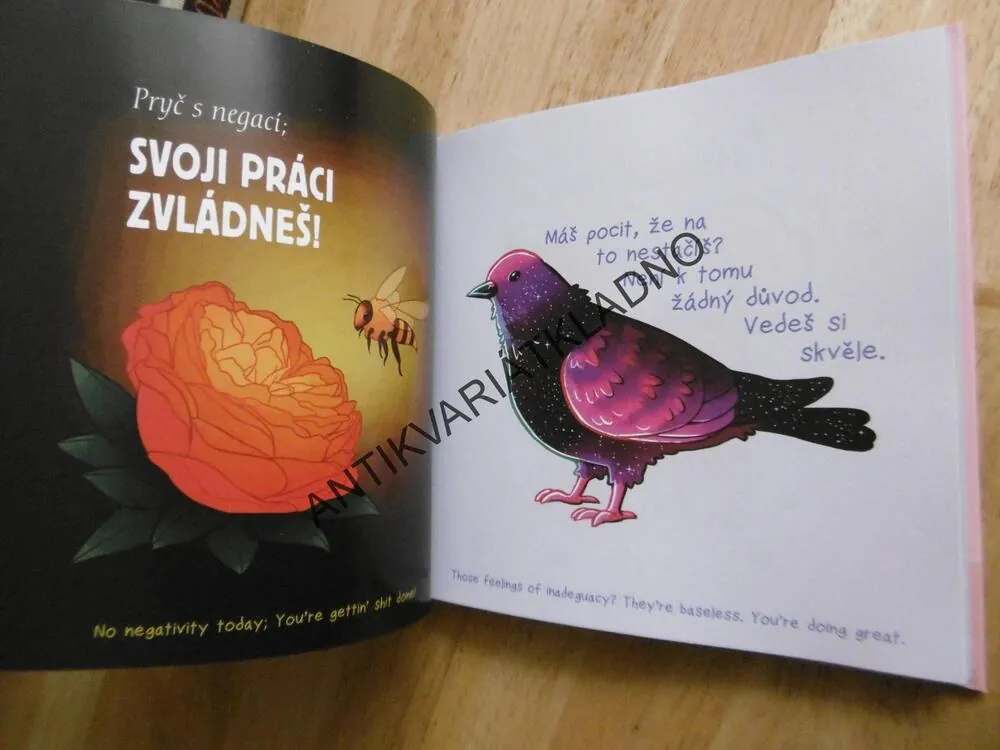 ZVLÁDNEŠ TO..., OKAMŽITÉ POVZBUZENÍ PŘI SMUTKU A OBAVÁCH, KATE ALLAN, **an