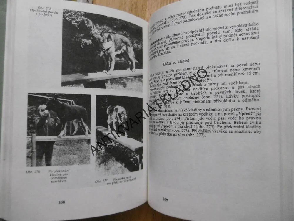PES A JEHO VÝCVIK, HRUŠOVSKÝ, PSŮ, PES, 