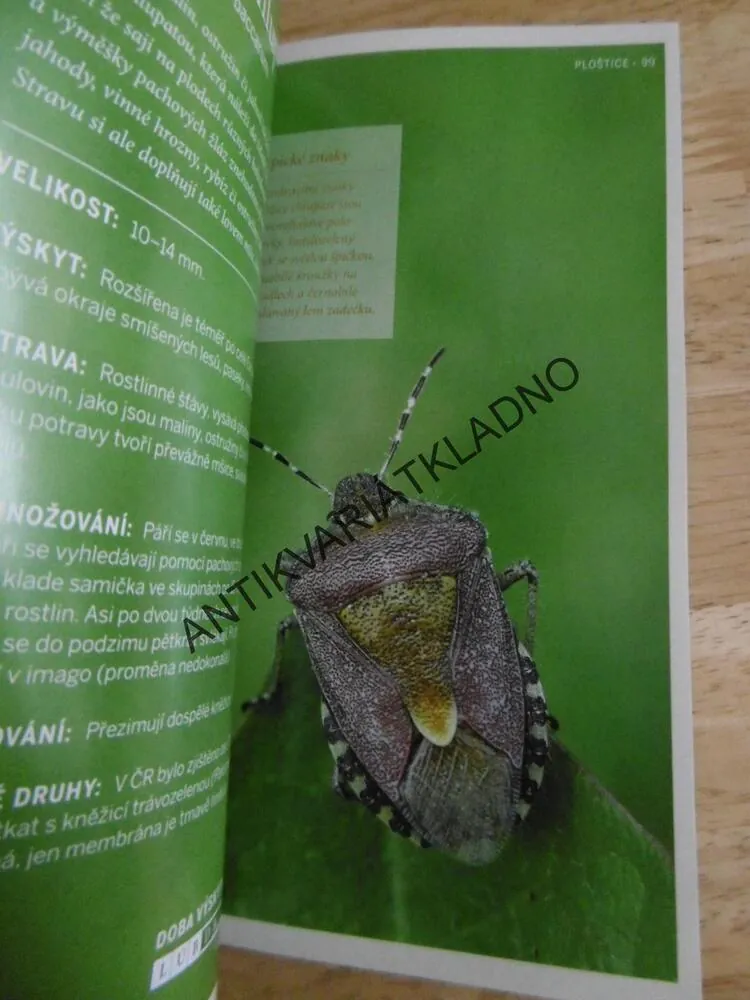 HMYZ, PRŮVODCE PŘÍRODOU