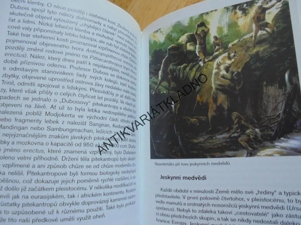 ABECEDA DÁVNÝCH VĚKŮ, BOŘIVOJ ZÁRUBA, PREHISTORIE