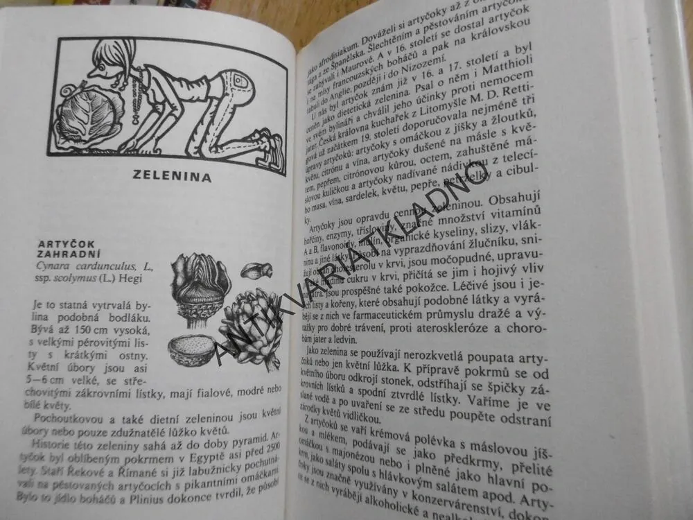 VITAMÍNY Z DOMOVA I Z DALEKA, KUCHAŘKA, RECEPTY,DAGMAR LÁNSKÁ, BOHUMÍR HLAVA, 1982, NEPRAKTA, **an