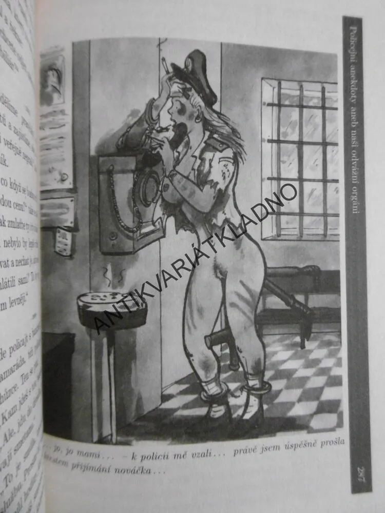 NŮŠE PLNÁ VTIPŮ, 4199 VTIPŮ