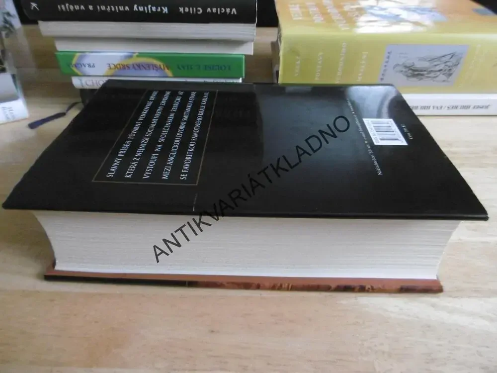 VĚČNÁ AMBRA, KATHLEEN WINSOROVÁ, **an