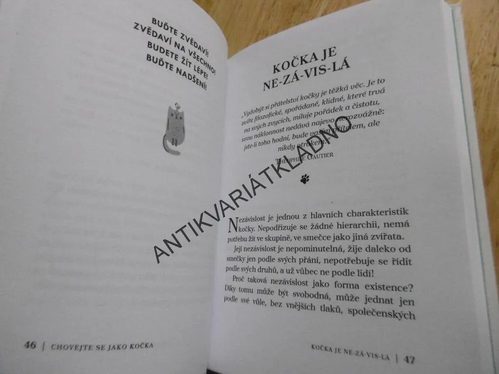 CHOVEJTE SE JAKO KOČKA, STEPHANE GARNIER,