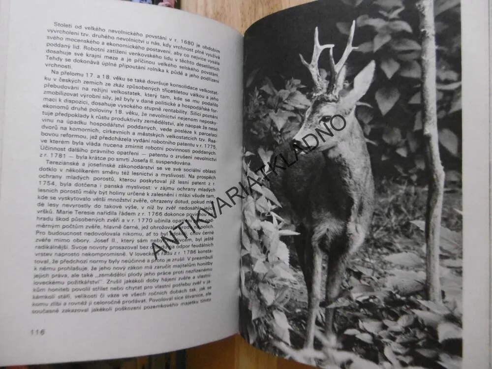 NAŠE OBORY, WOLF, CHROUST, KOKEŠ, LOCHMAN, 