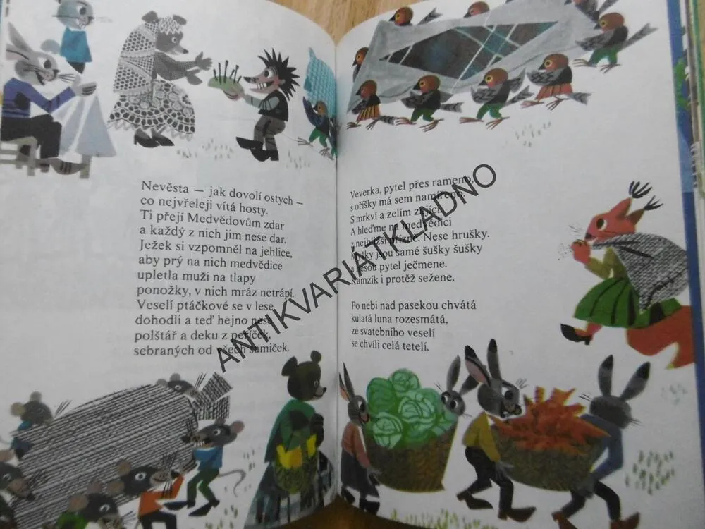 LESNÍ POHÁDKY, STOJAN ANASTASOV, BULHARSKO