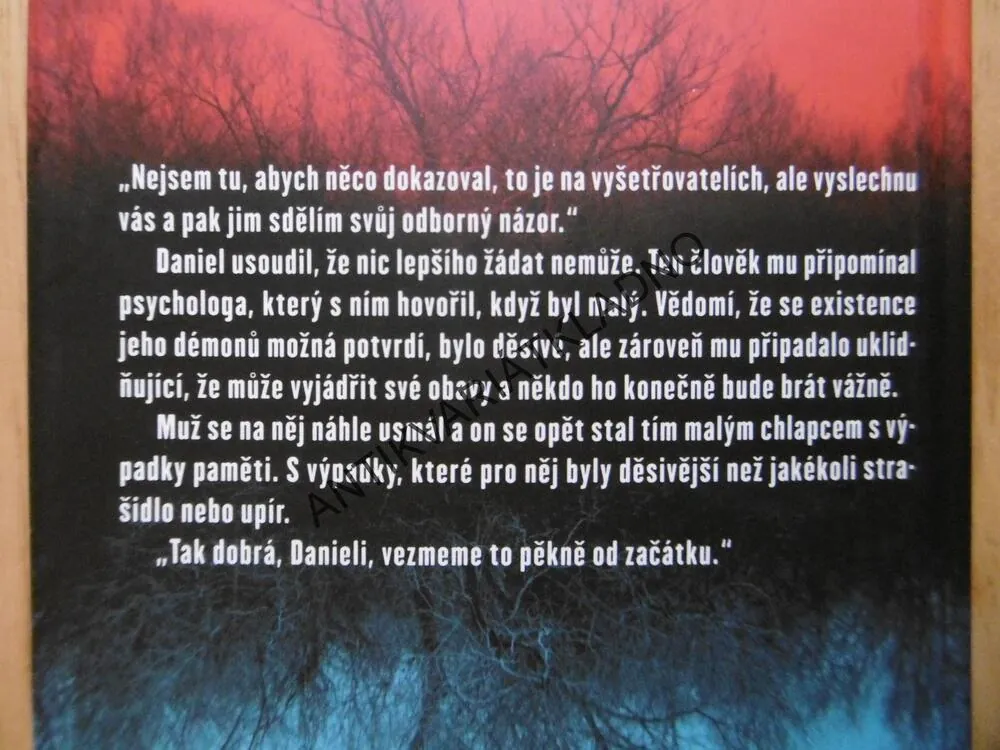 SYN VRAŽEDKYNĚ, JOY ELLISOVÁ, **an