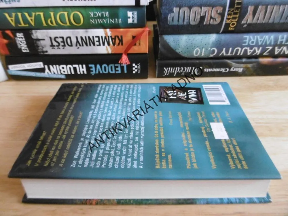 NĚKDO TĚ VIDÍ, CLARE MACKINTOSH **an