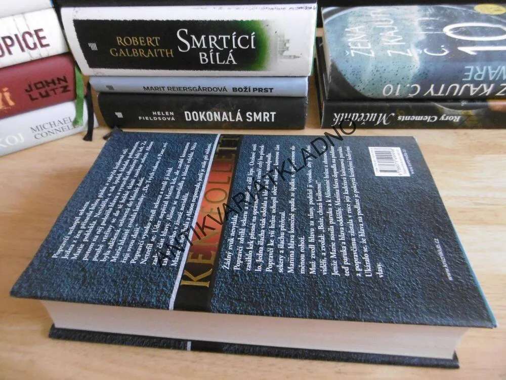 OHNIVÝ SLOUP, KEN FOLLETT, **an