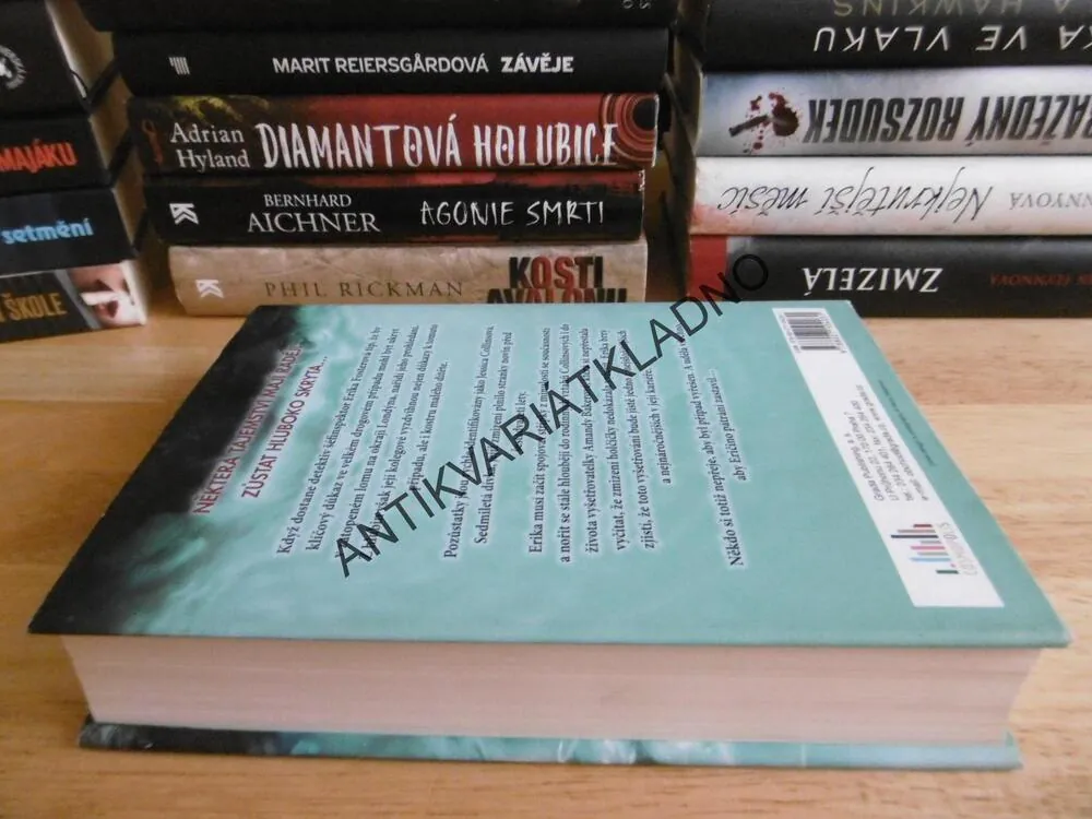 TEMNÉ HLUBINY, ROBERT BRYNDZA, **an