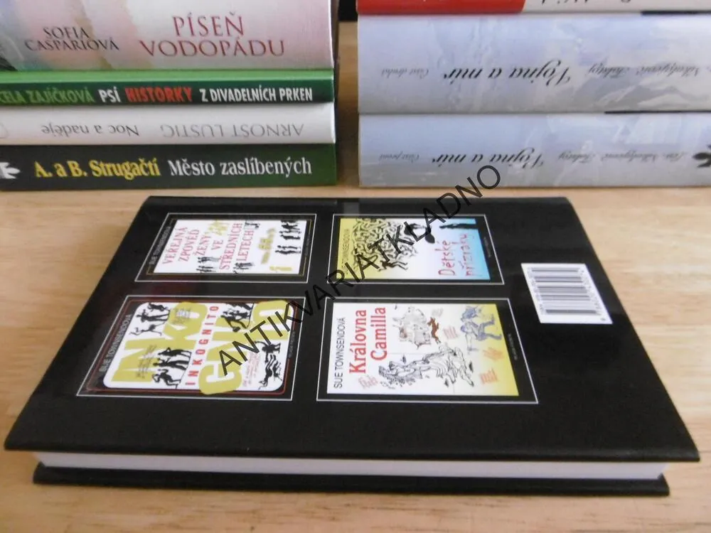 ŽENA, KTERÁ SI ŠLA LEHNOUT A ROK NEVSTALA, SUE TOWNSENDOVÁ, **an