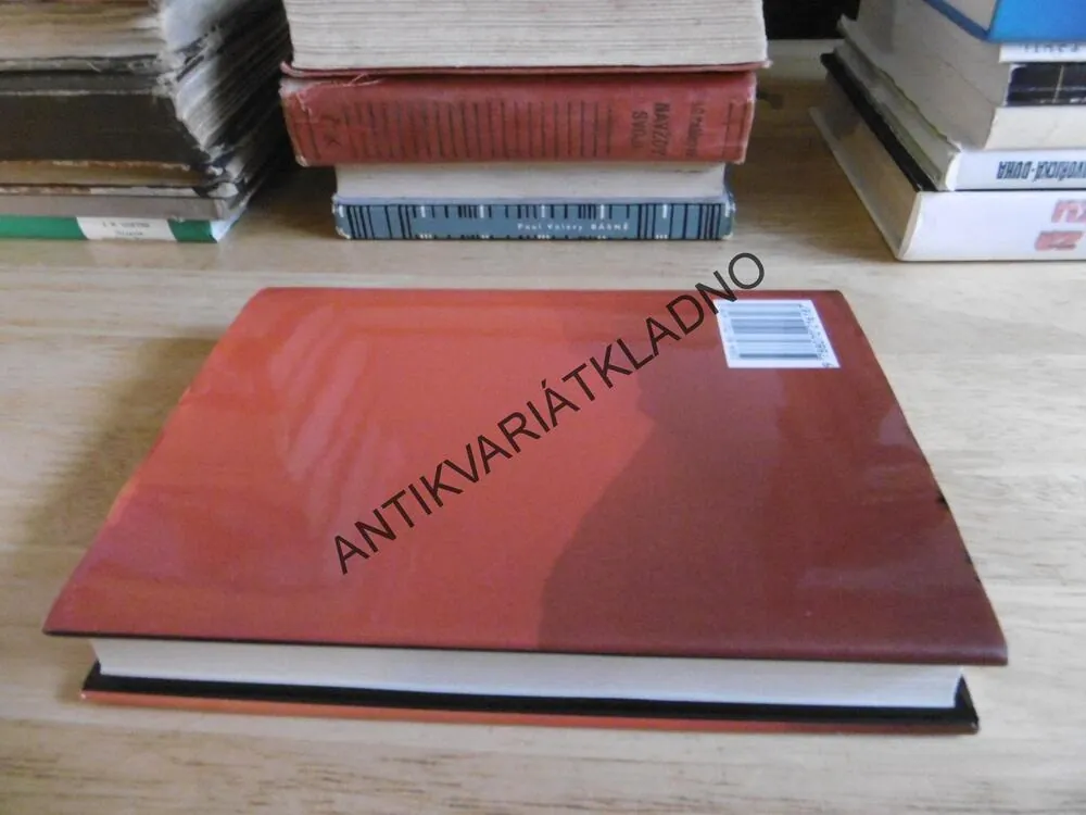 MĚSTO ČERVENÉHO PRACHU, BEN OKRI, **an