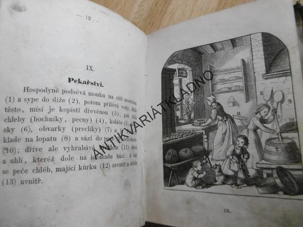 ZLATÉ LÍSTKY, DÁREK ÚTLOVĚKÝM DÍVKÁM DO ZLATÉ KNIHY, JANOTA, 1864