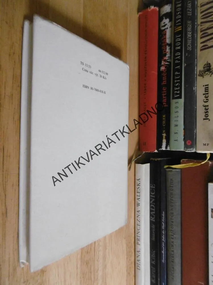 JAN, ČERNÝ PROUTNÍK, ZDENĚK ŠMÍD, NEPRAKTA, **an