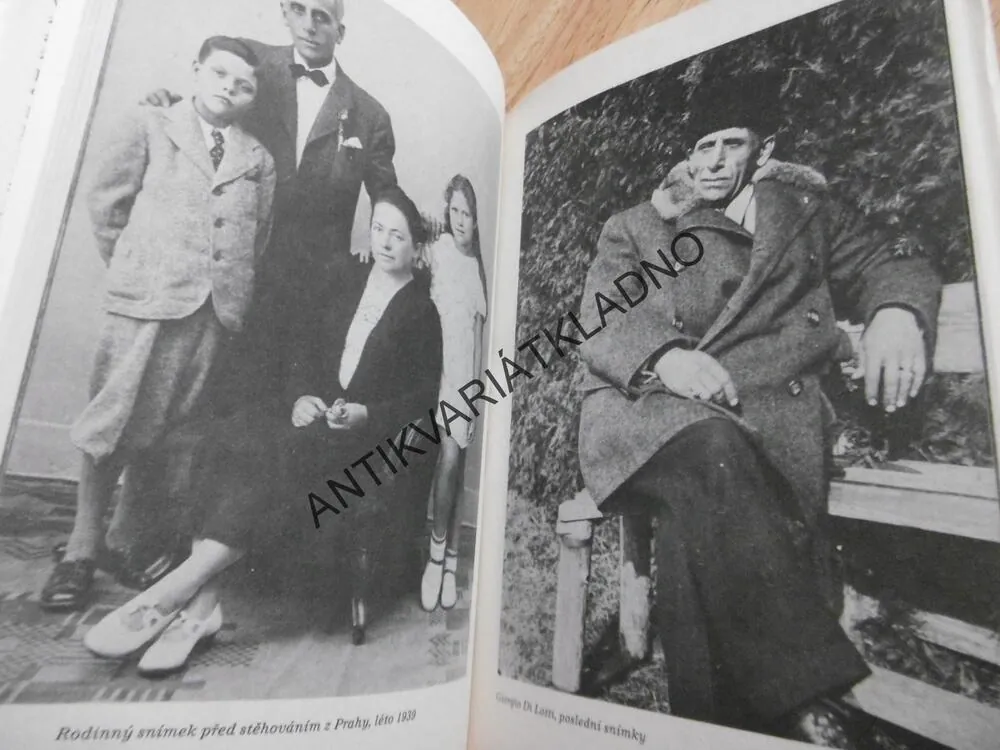 DOKTORKA Z DOMU TRUBAČŮ, ILONA BORSKÁ, **an