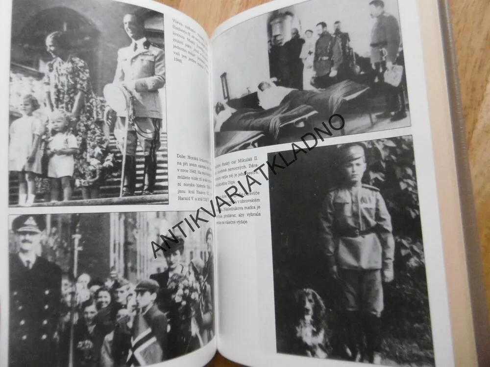 VÁLKA A EVROPSKÉ KRÁLOVSKÉ RODY, ANTHONY DEVERE-SUMMERS, **an