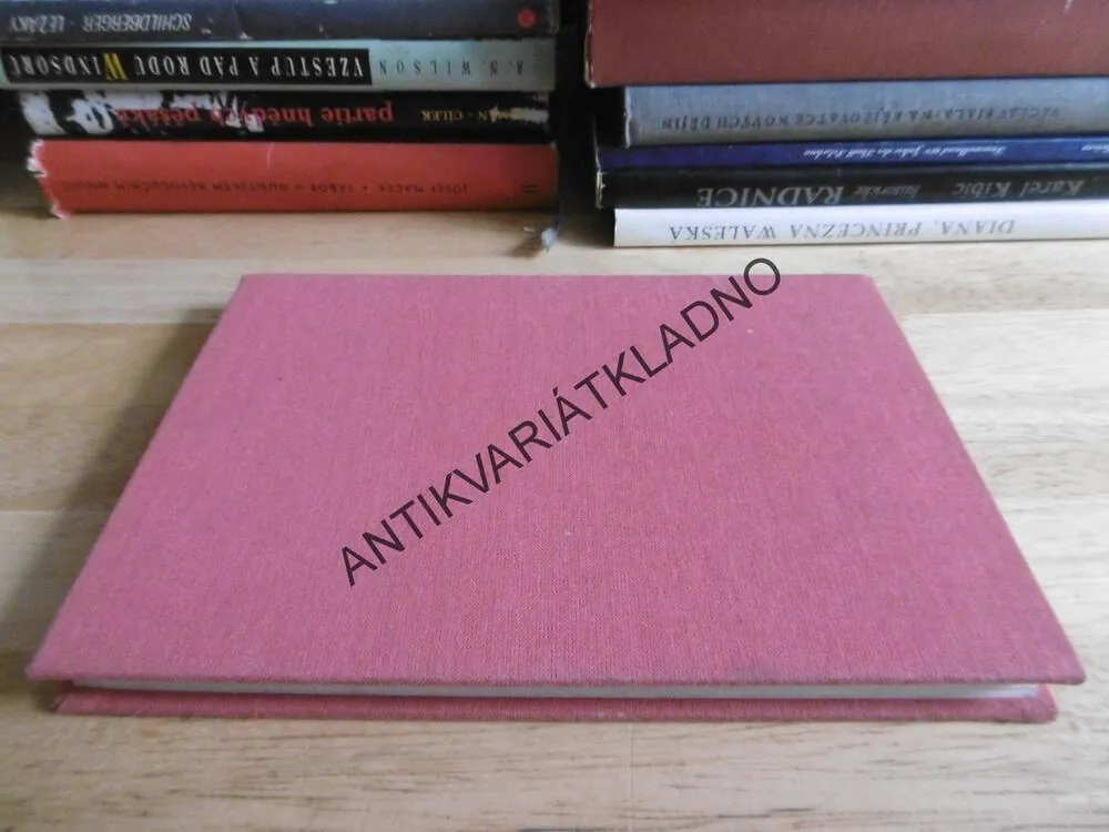 STRUČNÝ PŘEHLED DĚJIN SNB, 1981 **an