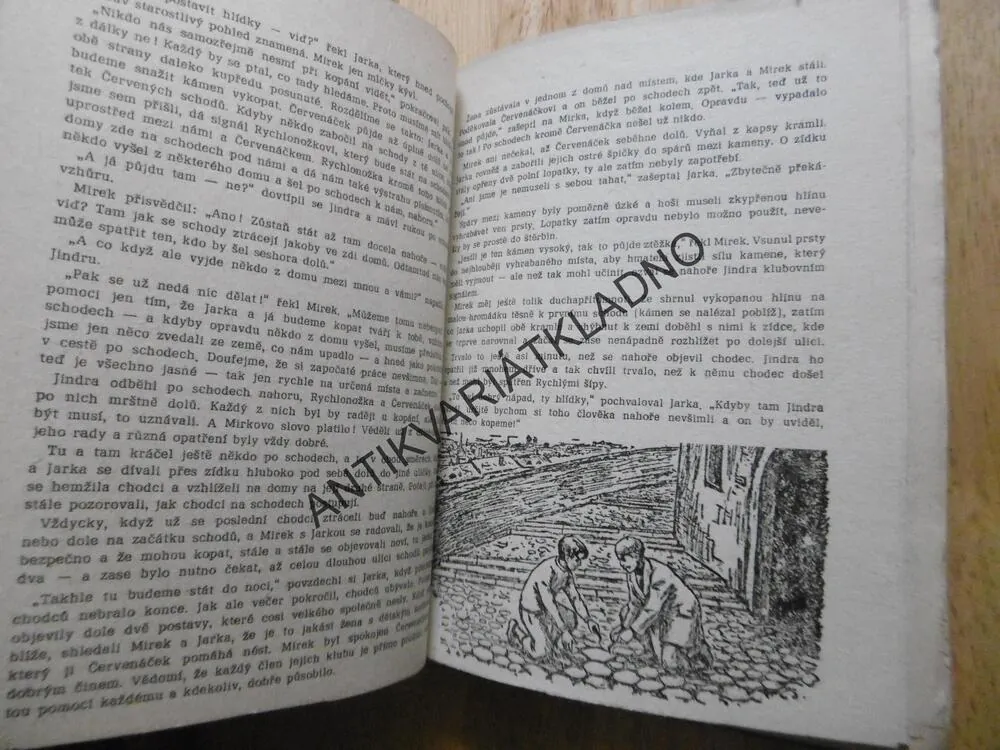 STÍNADLA SE BOUŘÍ, JAROSLAV FOGLAR, RYCHLÉ ŠÍPY, 1968