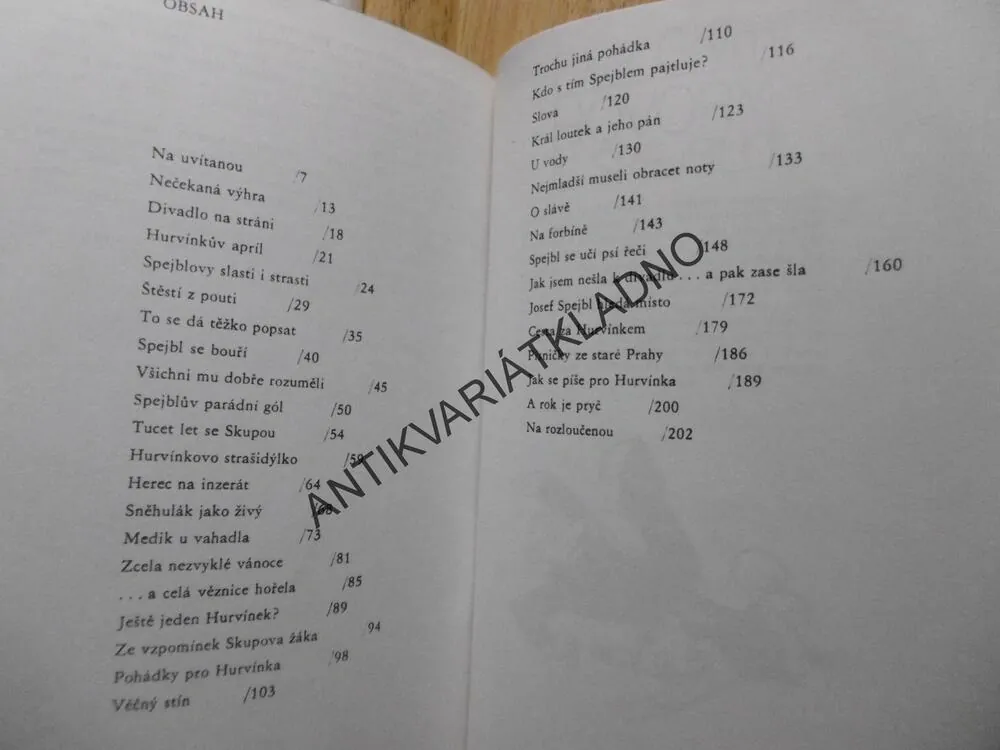 HOVORY U SPEJBLŮ, PAVEL GRYM, JIŘÍ TRNKA, 1990
