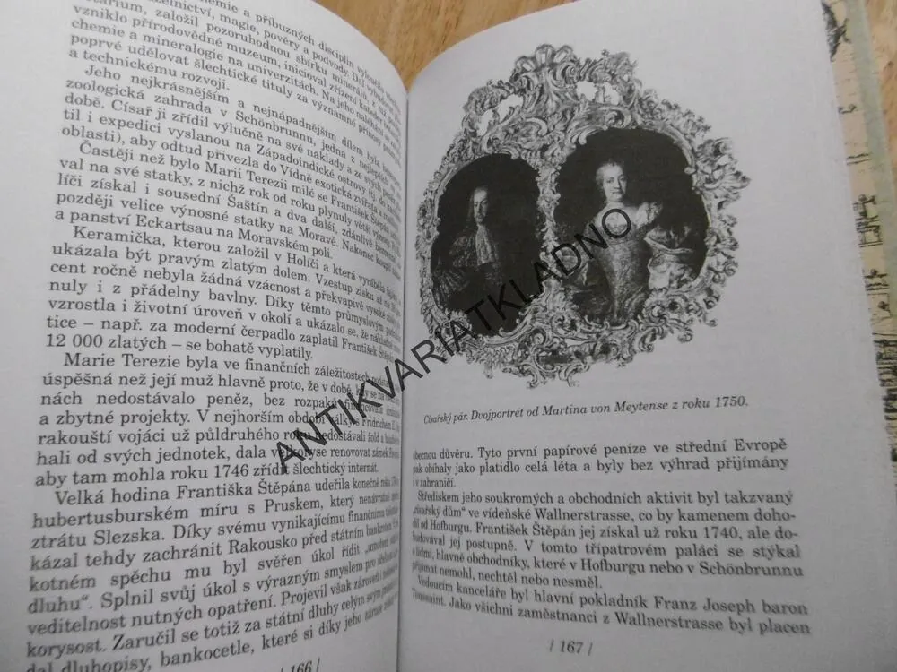 MUŽI VE STÍNU, THEA LEITNEROVÁ, **an