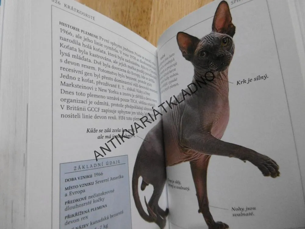 KOČKY, ATLAS DO KAPSY, FOGLE, PLEMENA, RASA, **an