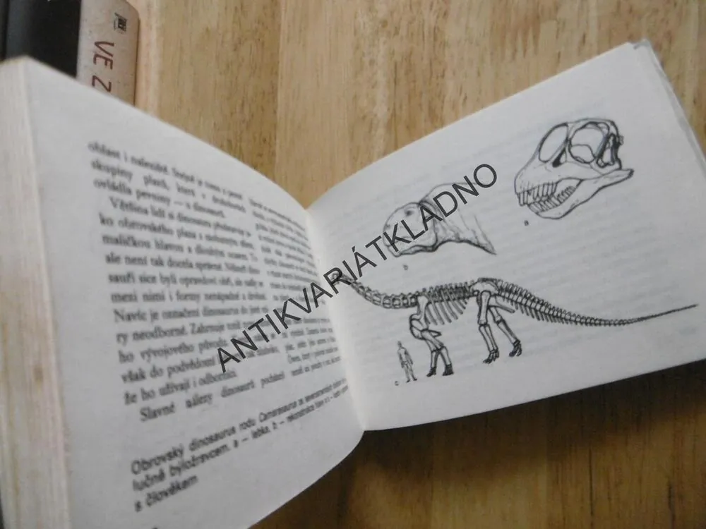 OKO 54 - OD TRILOBITA K ČLOVĚKU, FEJFAR, **an