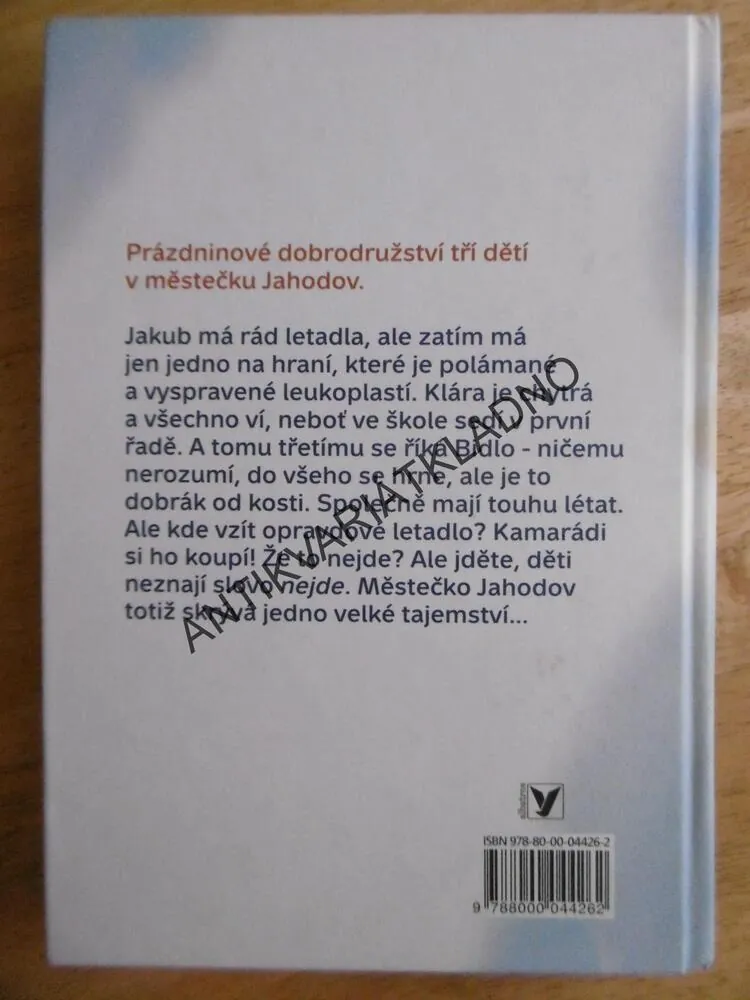 ZTRACENÝ AEROPLÁN, PAVEL VALACH, JURAJ MARTIŠKA, **an