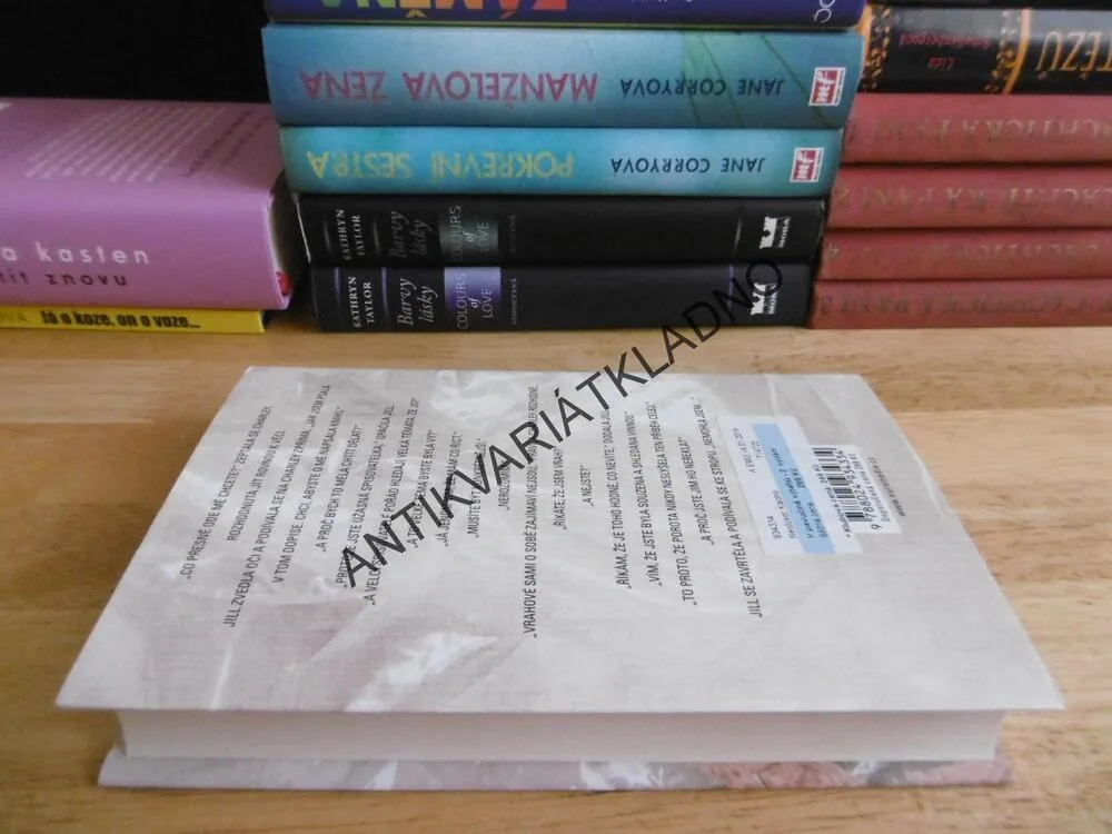 V PAVUČINĚ VZTAHŮ, JOY FIELDINGOVÁ, **an