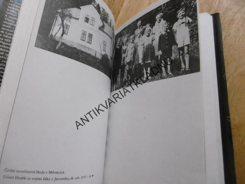 OSUD JEDNOHO ČECHA,ILONA BORSKÁ, 1984,**an